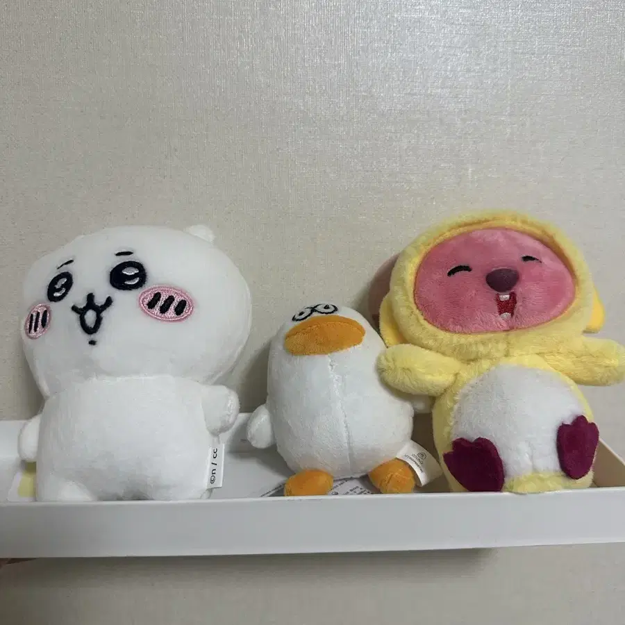 치이카와,오둥이,루피 키링