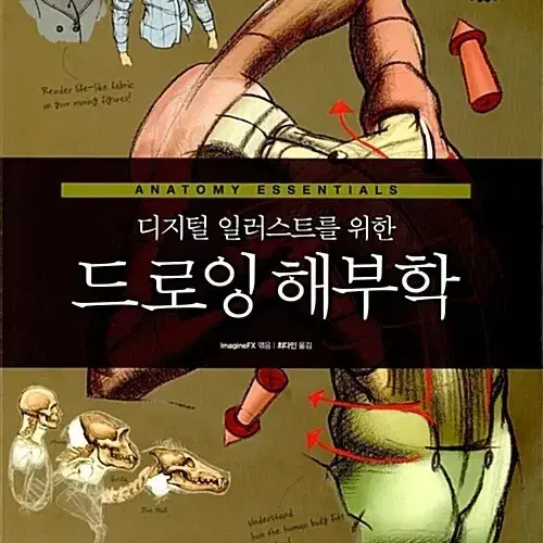 디지털 일러스트를 위한 드로잉 해부학