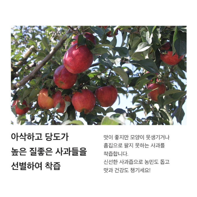 [무배/100ml/50포] 국내산 무첨가 아기 사과즙 100% (가정용)