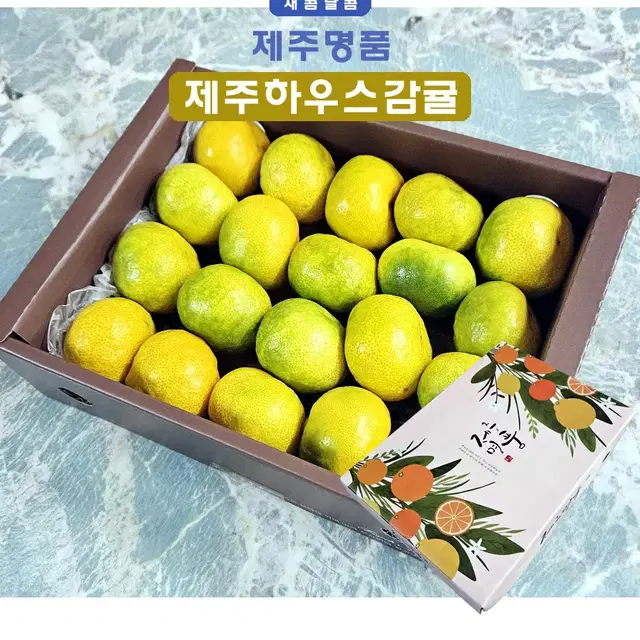 제철 제주 하우스 감귤 선물용 추석선물  3kg(30~45과)