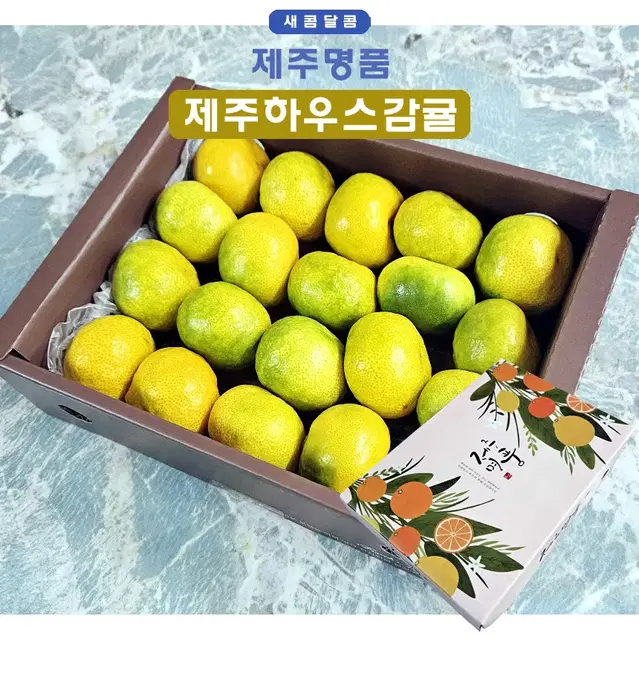 제철 제주 하우스 감귤 선물용 추석선물  3kg(30~45과)