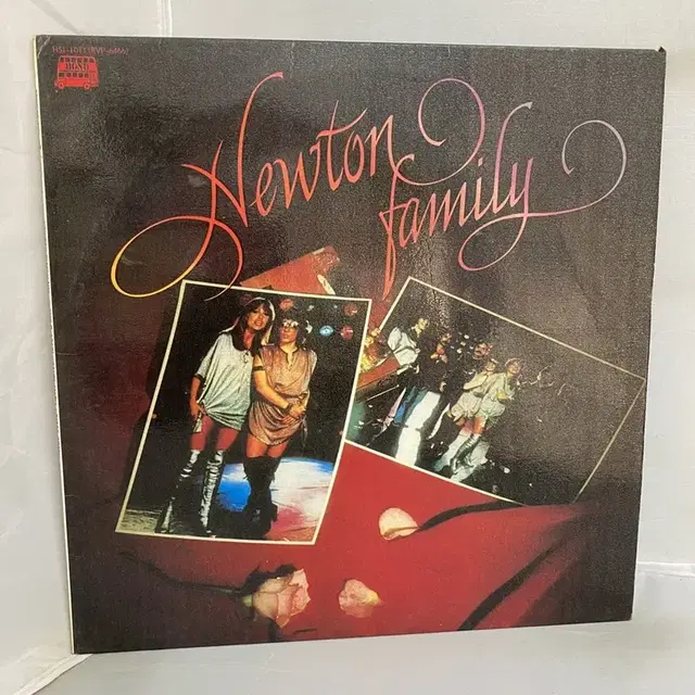 NEWTON FAMILY LP / AA4733