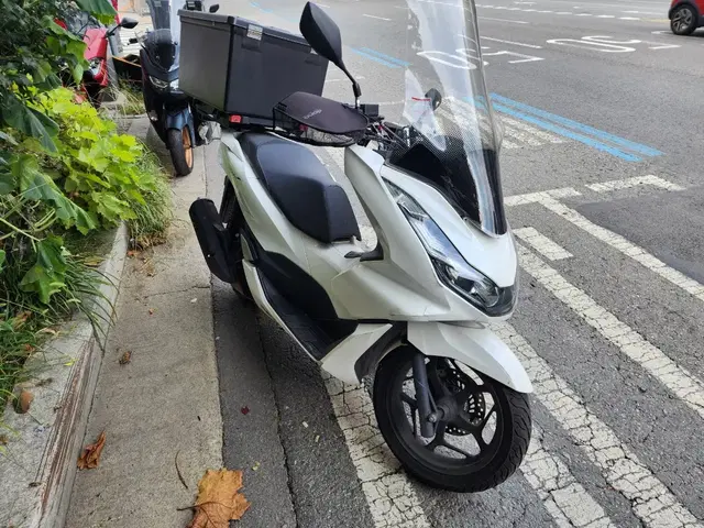 pcx125 22년식abs 급처 (nmax.xmax.포르자350.)