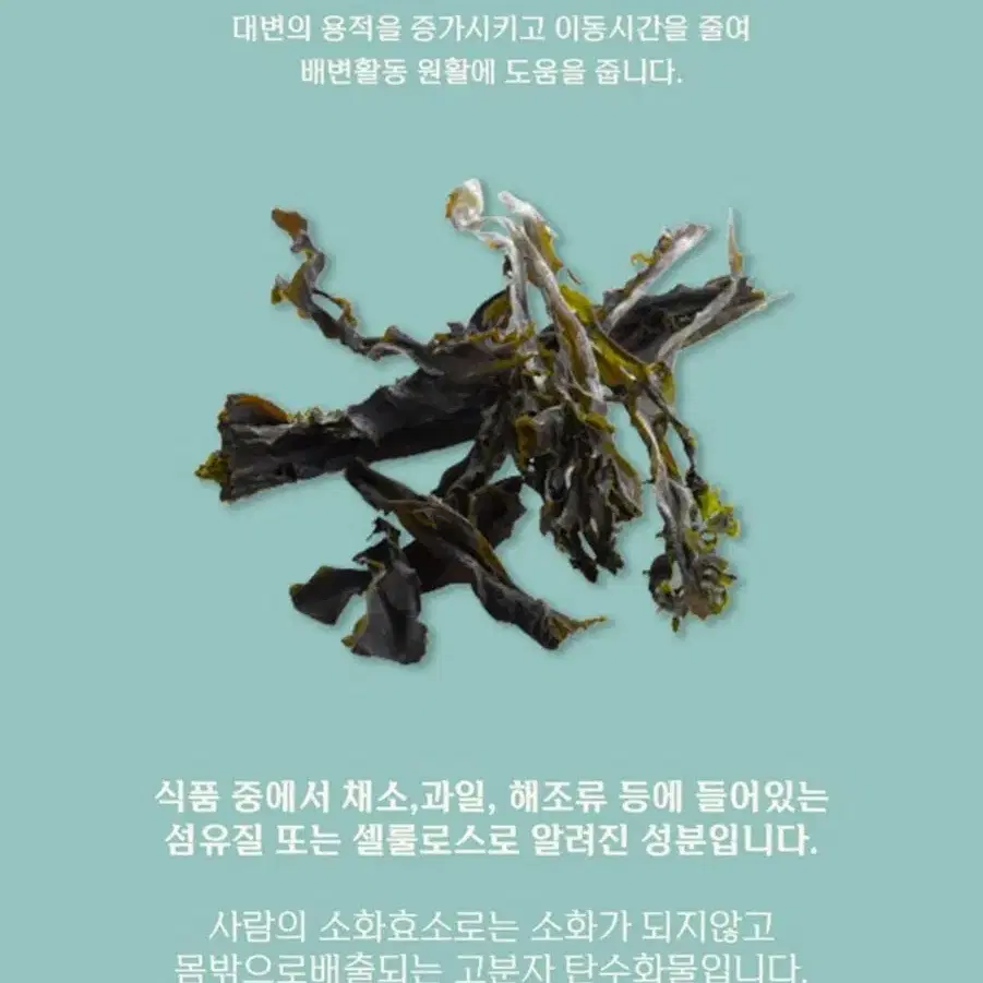 맛까지 챙긴 커피 다이어트! 빼빼리카노 2박스 (4주분) 효소카피