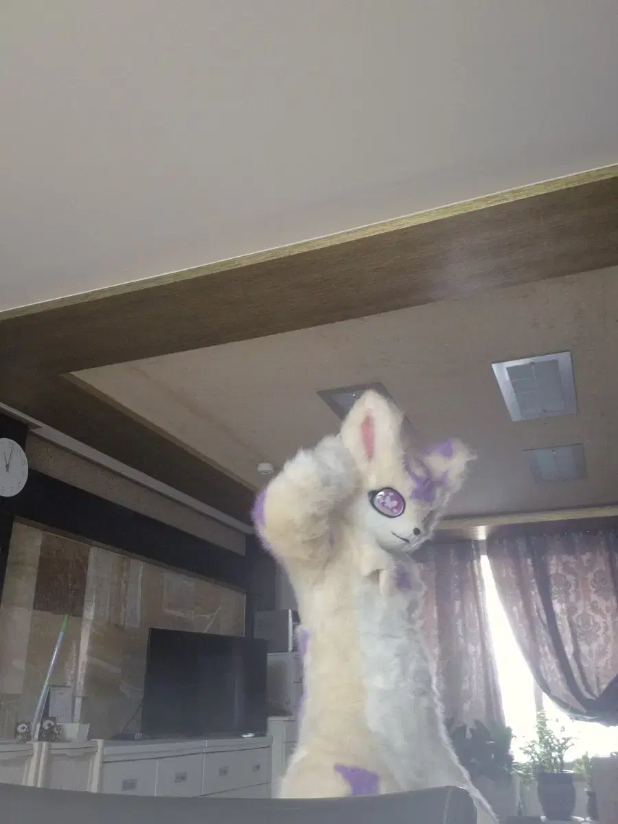 Fursuit Fullsuit