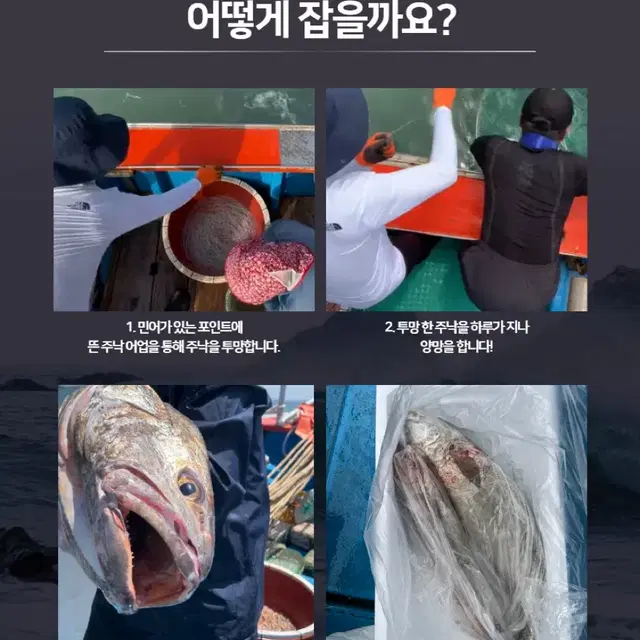 직접 잡은 자연산 민어!! 팔아봅니당^^