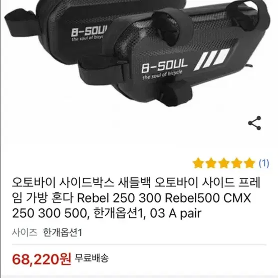 바이크 사이드백