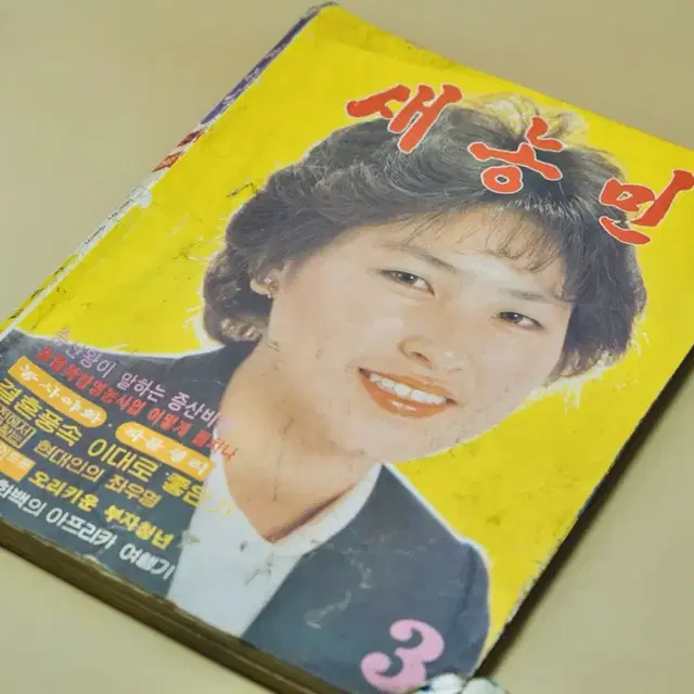 1983년 새농민 옛날 잡지 서적 근대사 골동품 수집 레트로