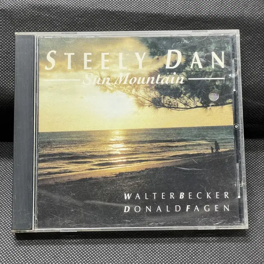 CD 스틸리 댄 Steely Dan - Sun Mountain