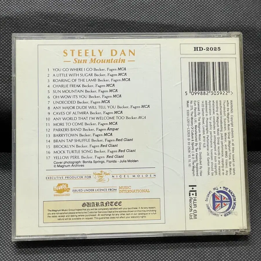 CD 스틸리 댄 Steely Dan - Sun Mountain