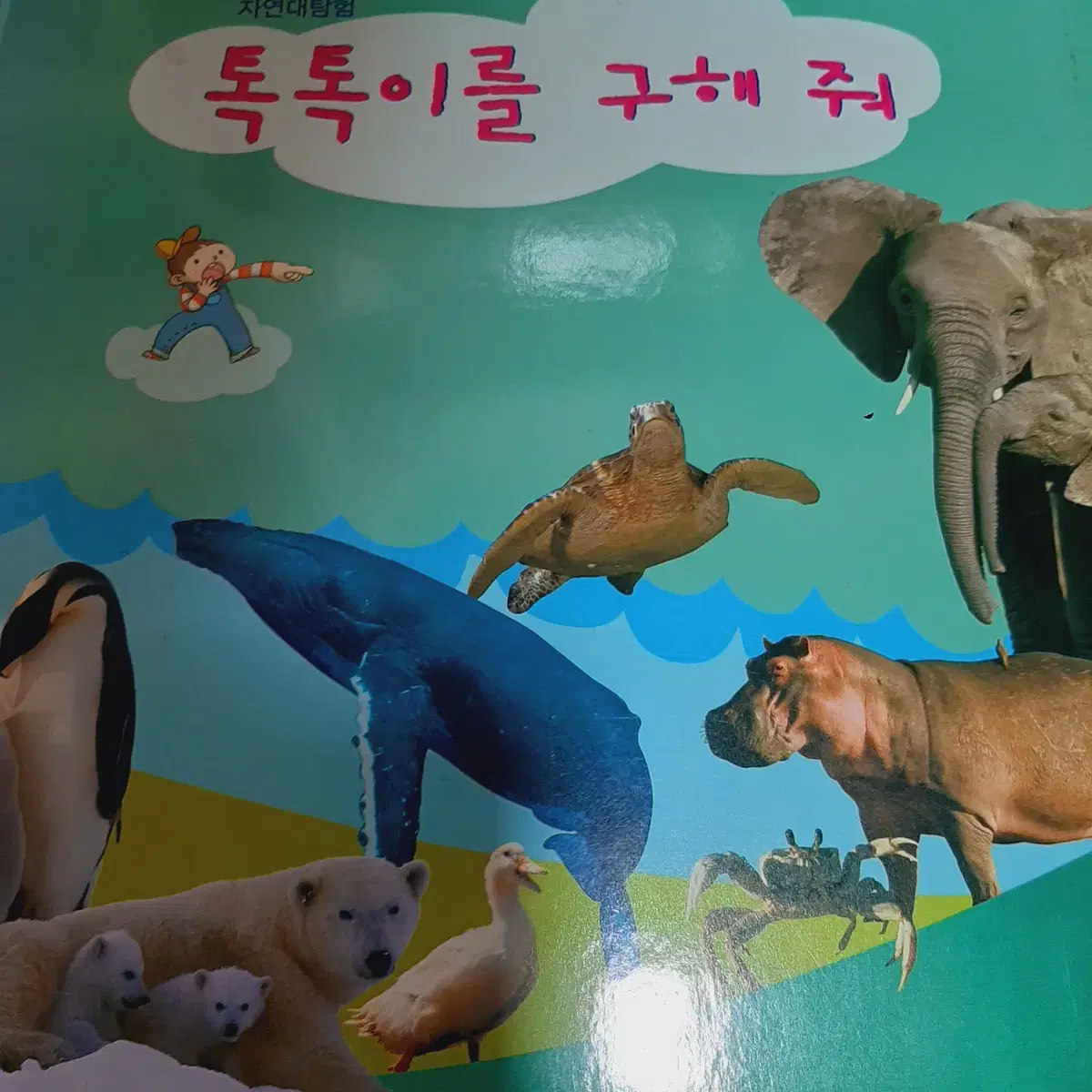 (새책) 자연이 소곤소곤 개정판 cd포함