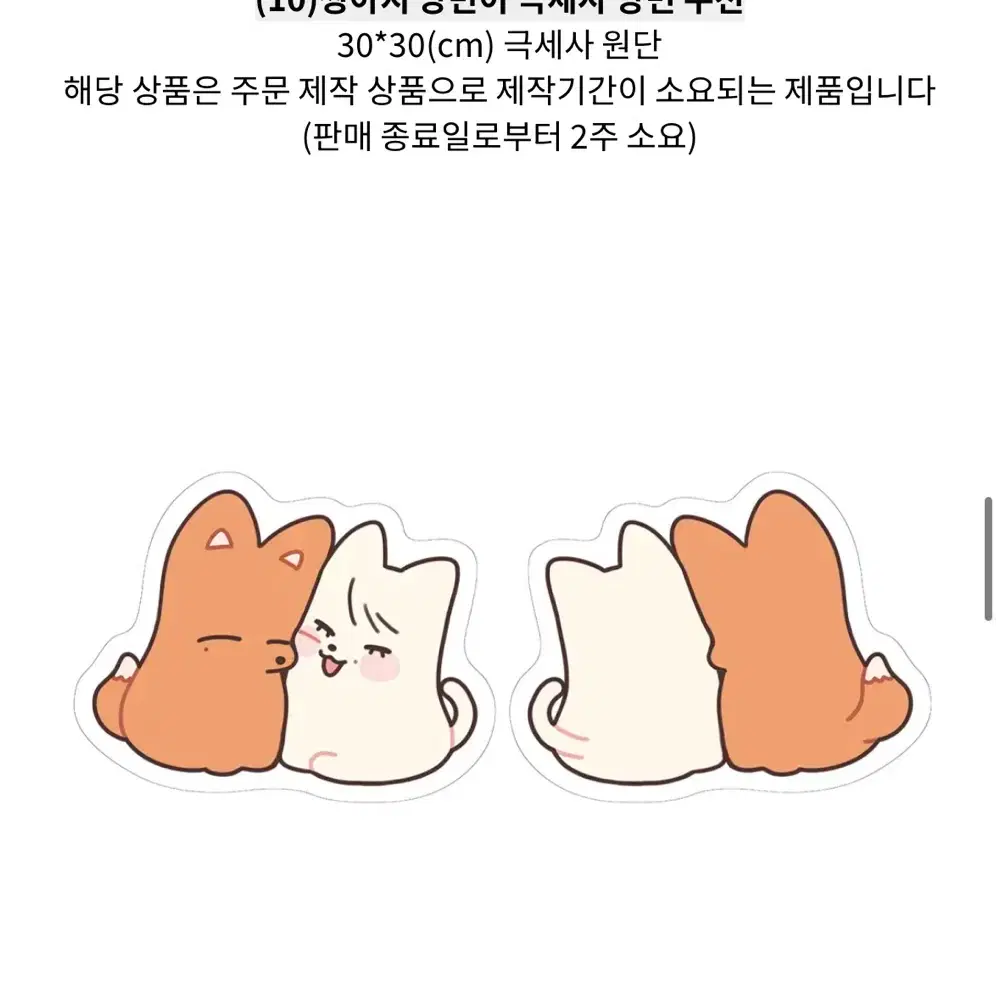 제베원 장하오 성한빈 쿠션 짱아지 냥빈이 늘빈 빈늘