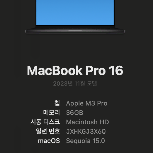 맥북 pro 16 m3, 1TB 36GB, 스페이스 블랙