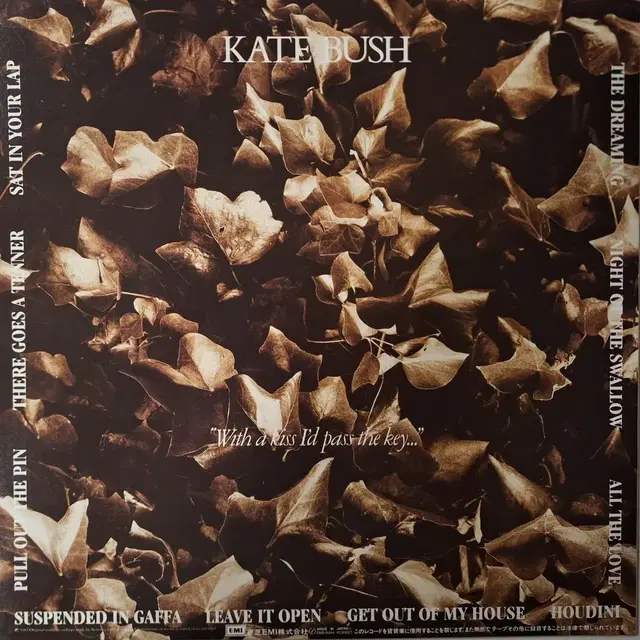 수입반/Kate Bush - The Dreaming LP