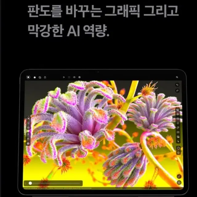 애플 아이패드프로11 M4 256 셀룰러 스패이스 블랙 미개봉 자급제