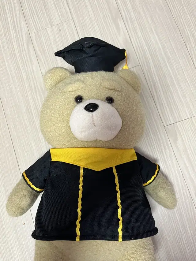 Ted2 졸업30 인형 팝니다 곰인형 테디베어