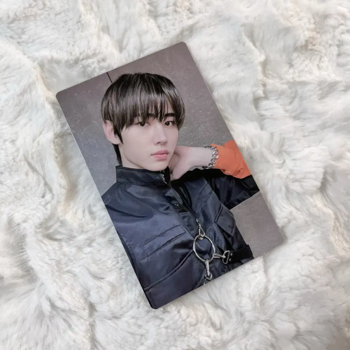 Enhypen sunghoon Border Carnival weverse photocard wts Sell