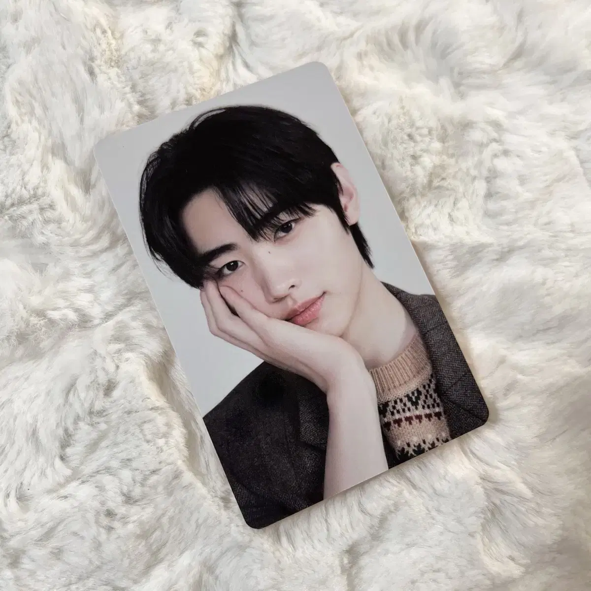 Enhypen sunghoon Enconnect photocard wts Sell