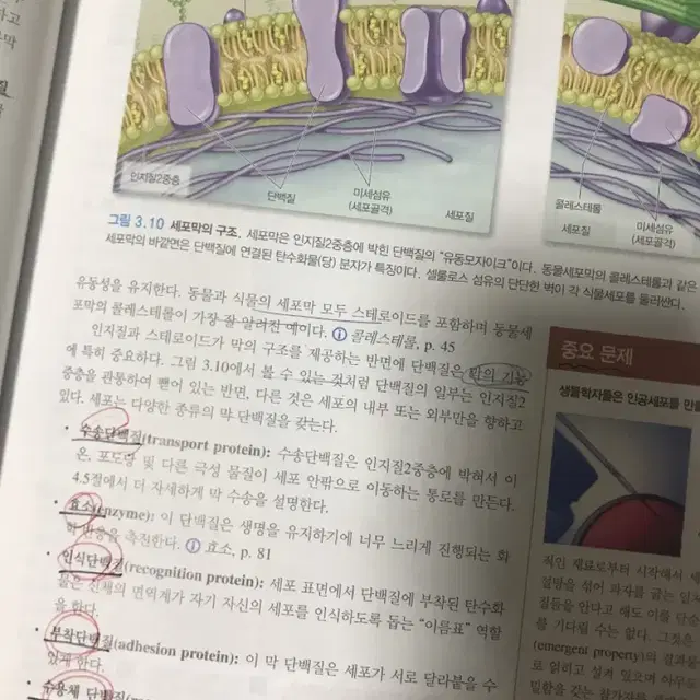 필수생물학