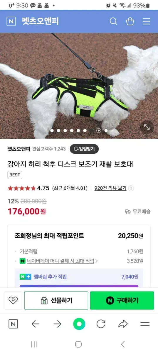 강아지허리디스크보호대