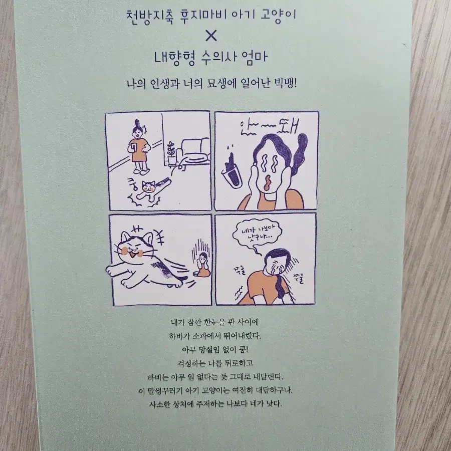 인어별에서 온 하비