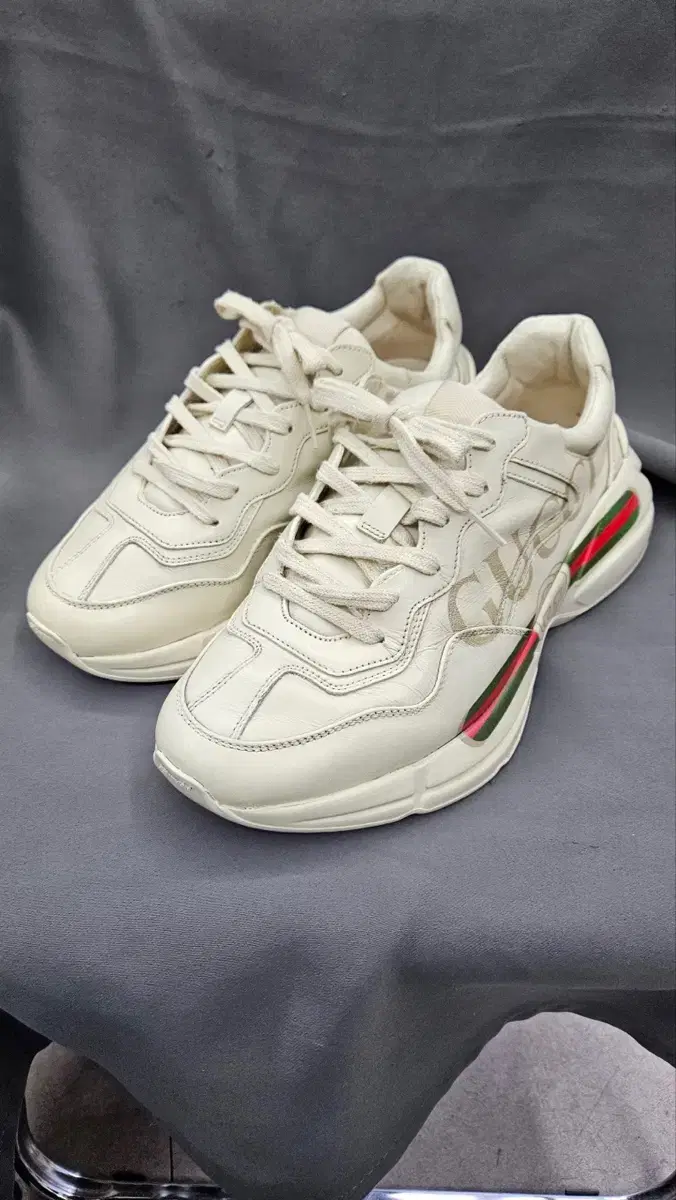 Gucci Raiton sneakers