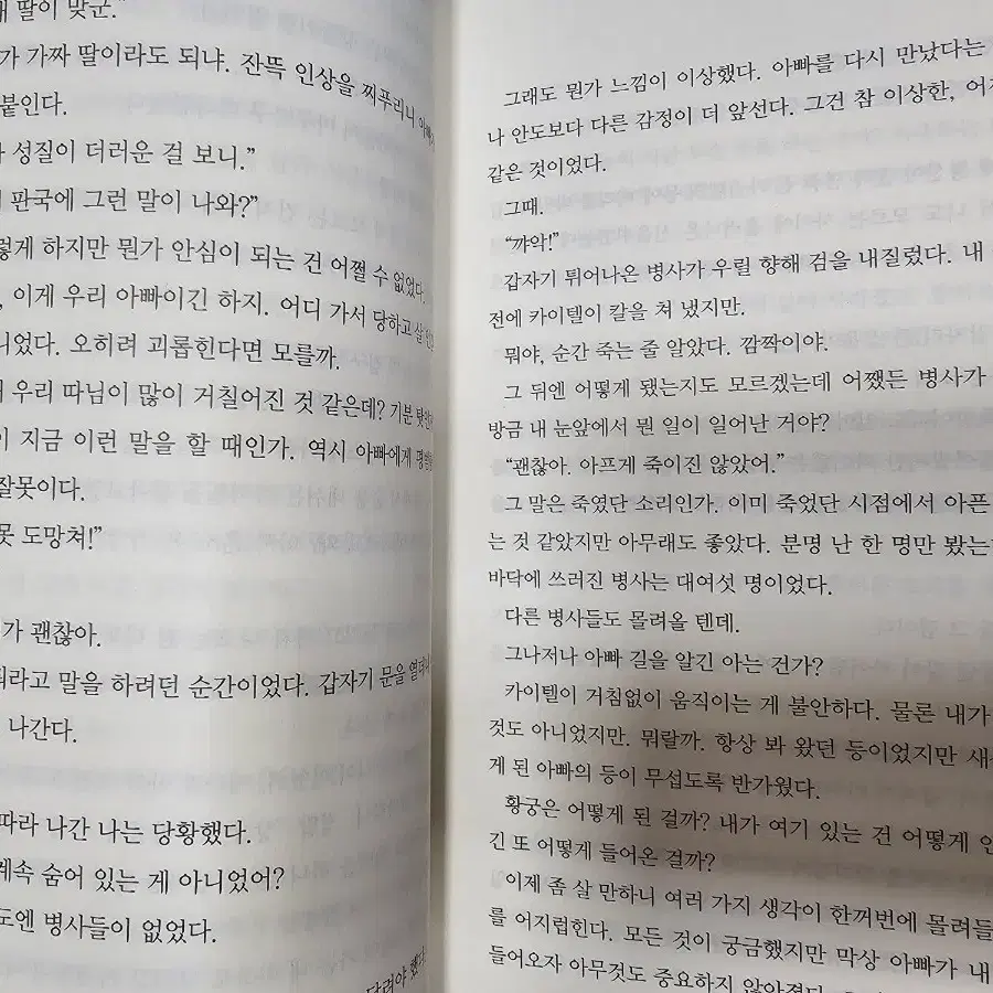 황제의 외동딸 8권