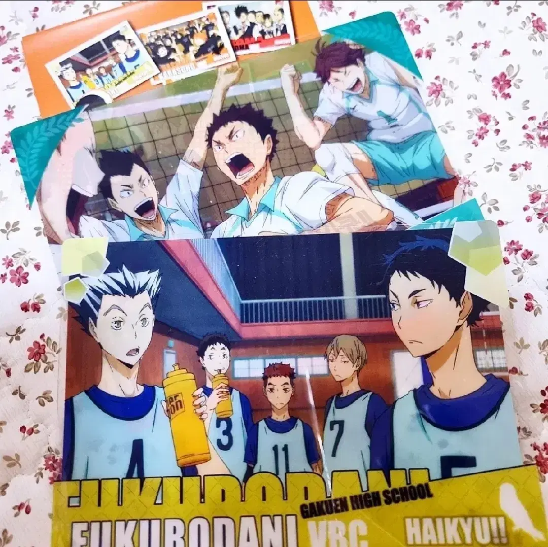 Haikyuu Aobajosai Fukurodani Mini Poster