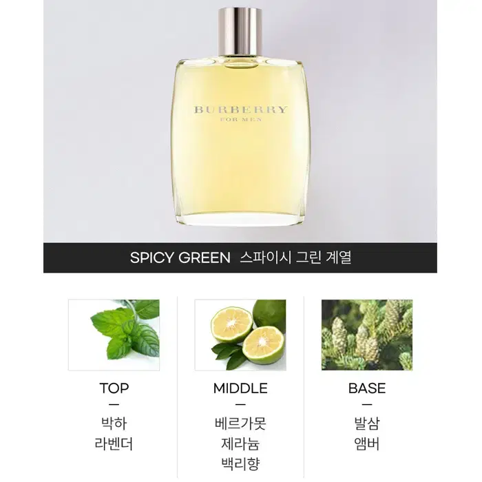 버버리 포 맨 오드뚜왈렛 100ml / 남자 정품향수