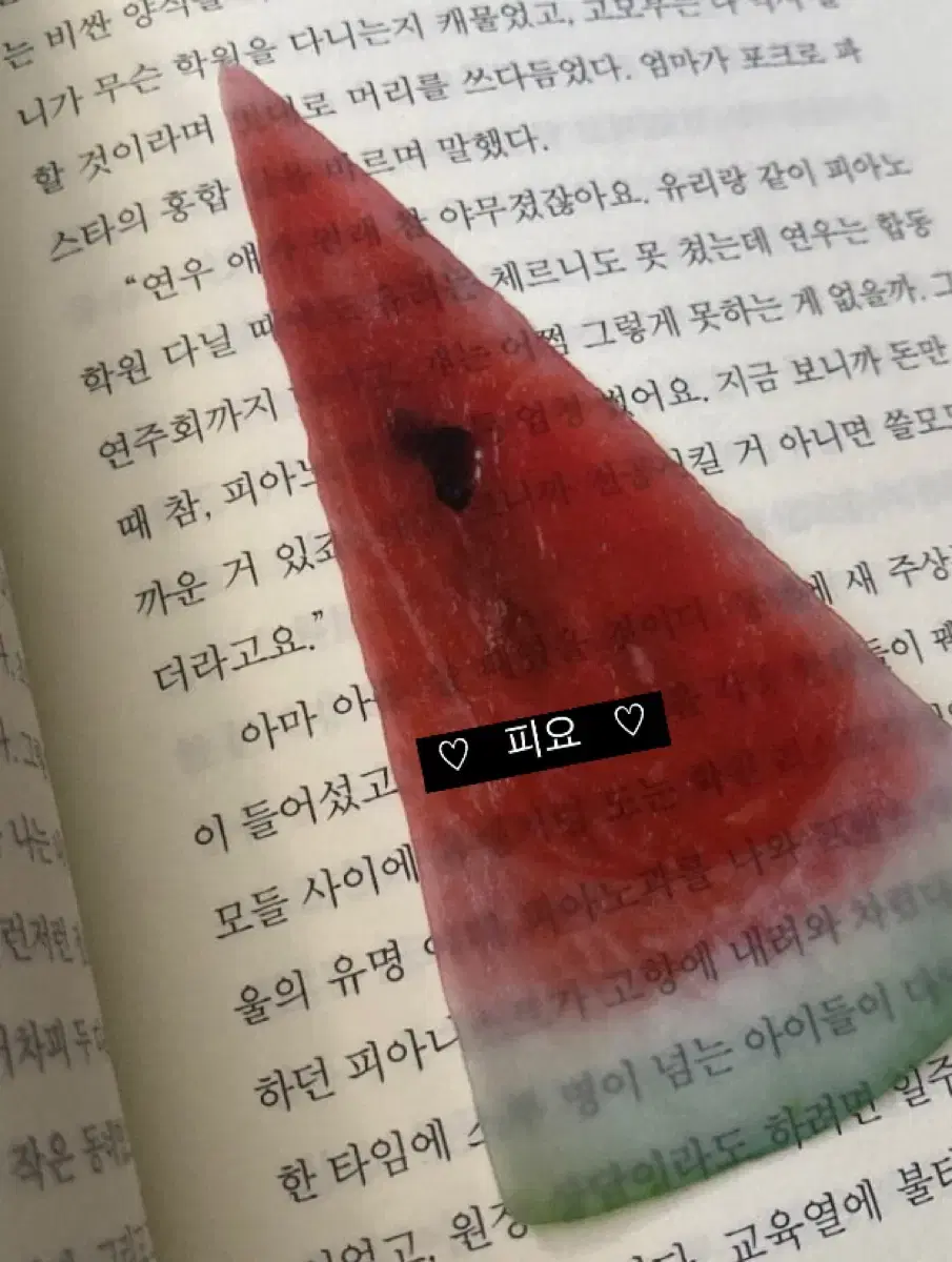 이옥토작가님 수박책갈피