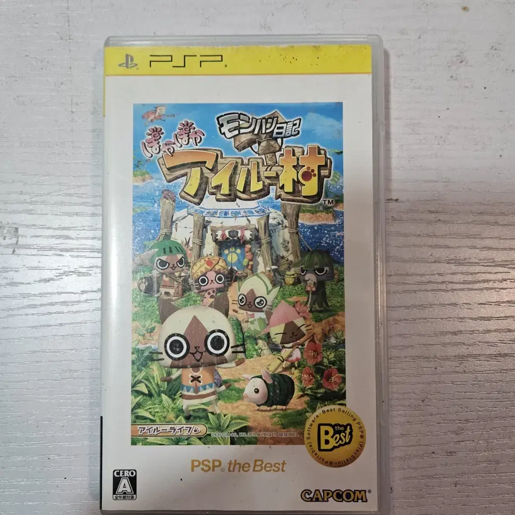 psp 몬헌일기 따끈따끈 아이루 마을 일판 히트