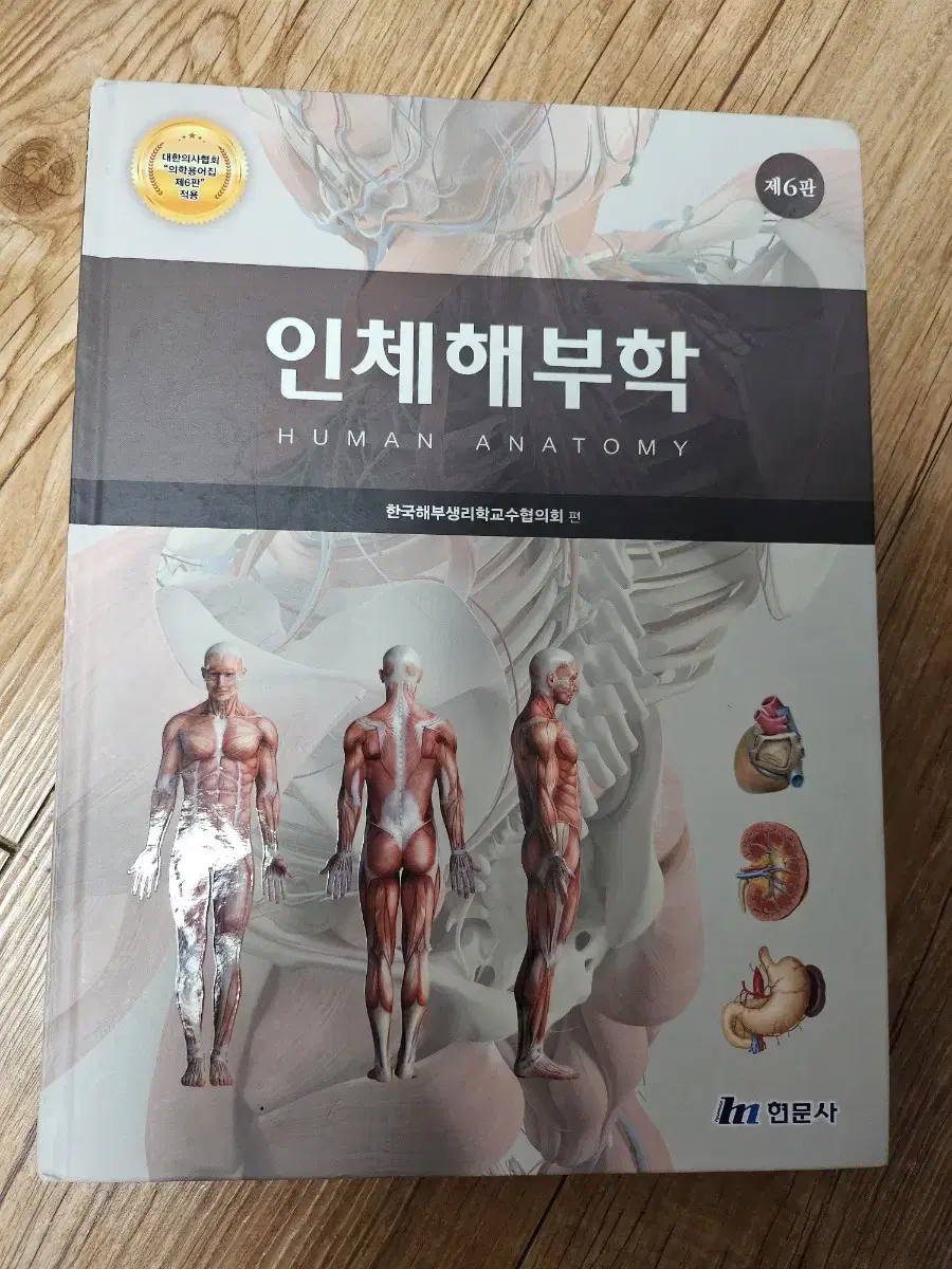 무료배송 제6판 인체해부학 현문사