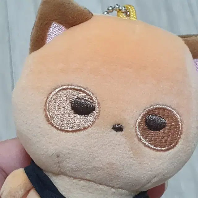 더보이즈 선우 인형(떤굴이) 팔아요!!