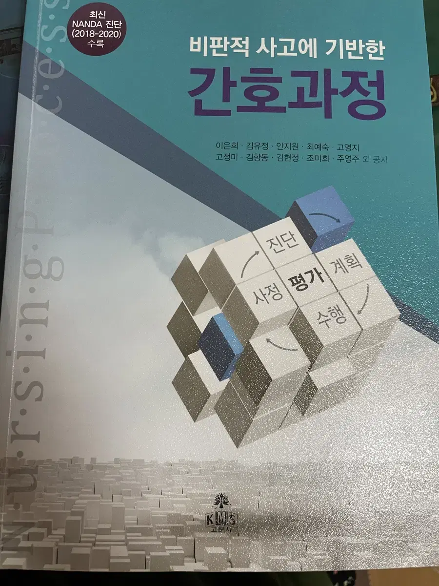 비판적 사고에 기반한 간호과정 고문사