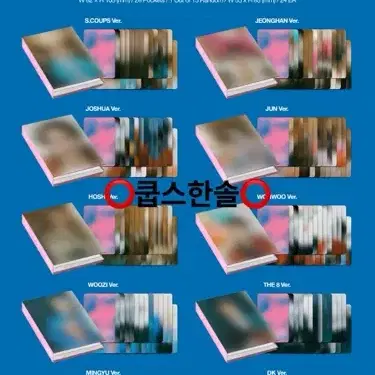 세븐틴 10월 미니12집 캐럿반 분철