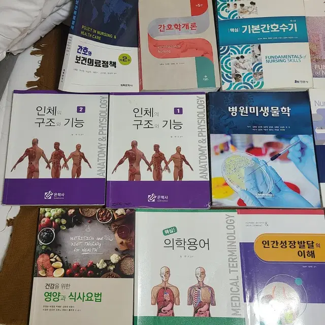 간호학과 전공서적 판매