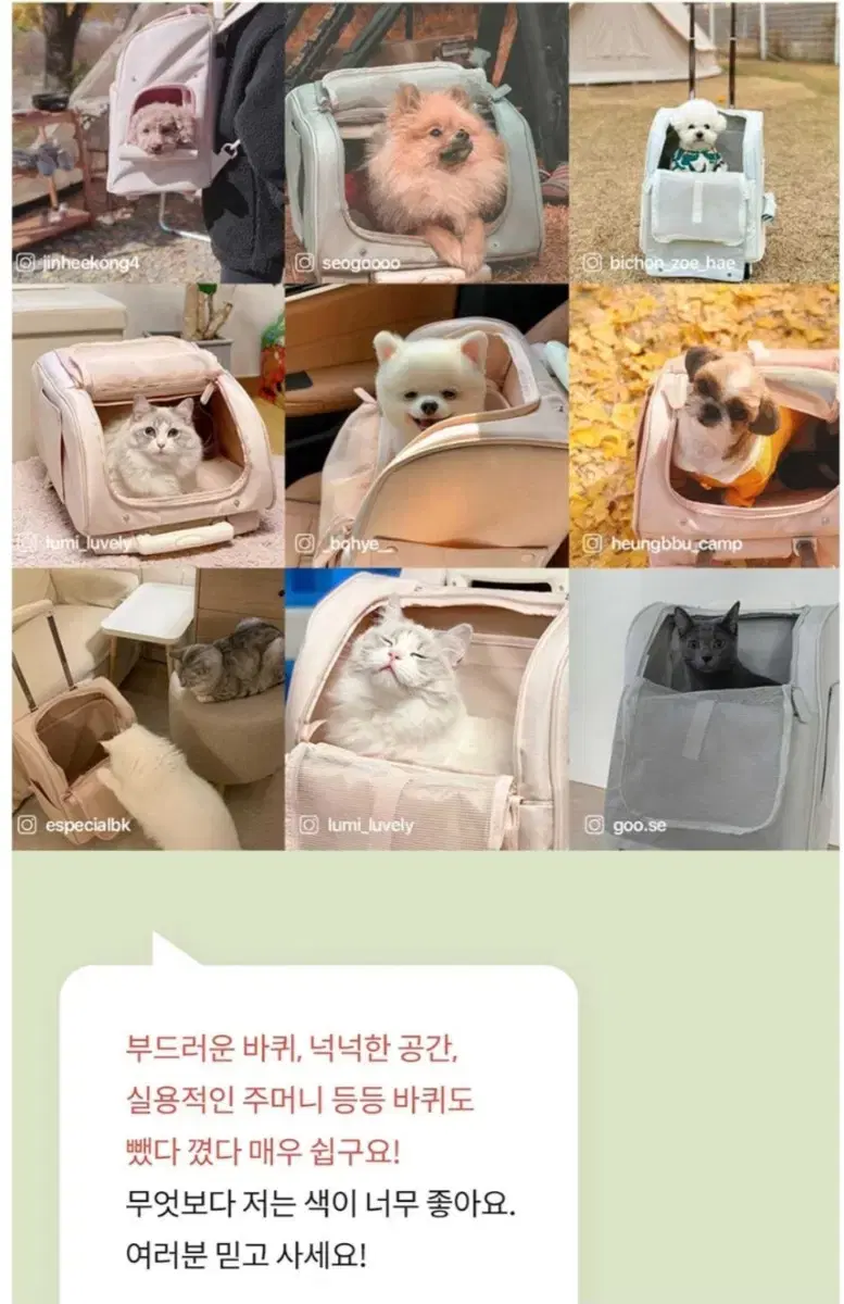 아르르 강아지고양이 백팩겸캐리어 이동장