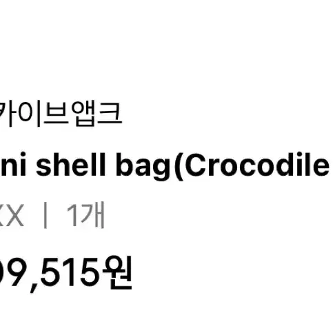 아카이브 앱크  mini shell bag(crocodile black)