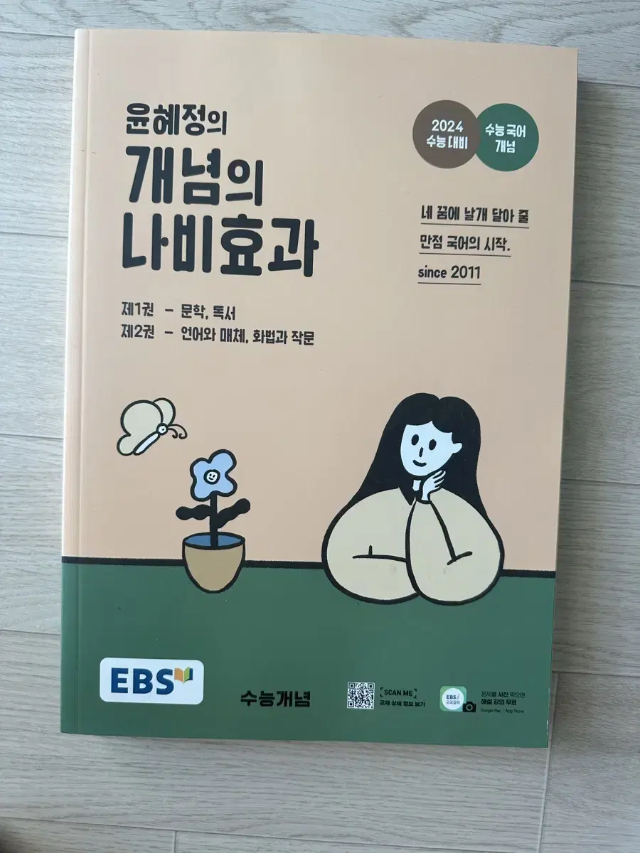 윤혜정 개념의 나비효과 (국어입문/수능국어)