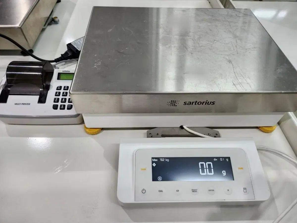 Sartorius MSE70201S-000-D0 정밀저울, 멀티프린터