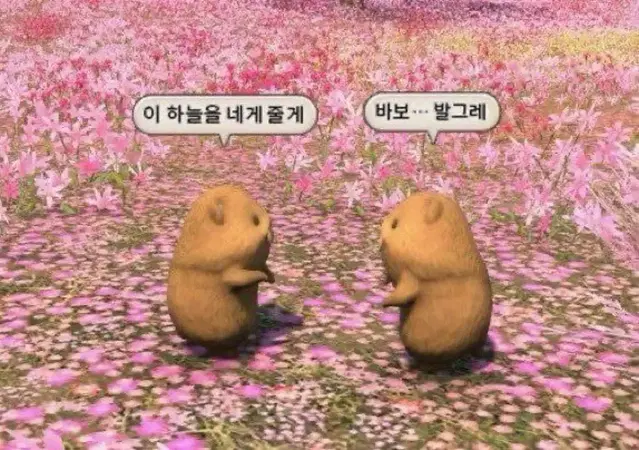 와코마리아 리버시블 후리스