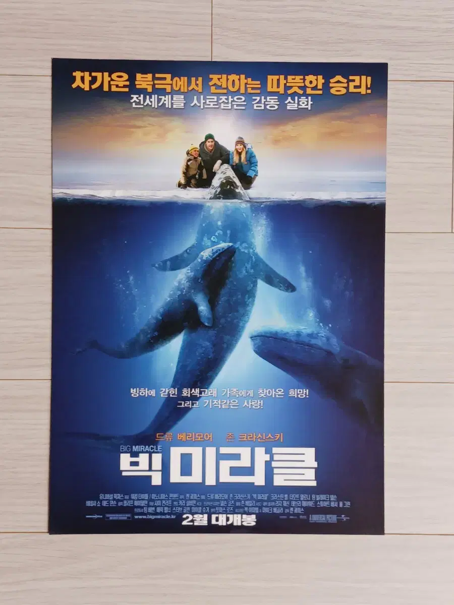 드류베리모어 존크래신스키 크리스틴벨 빅미라클(2012년)