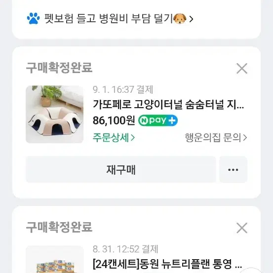 펠트 고양이 숨숨집 미사용