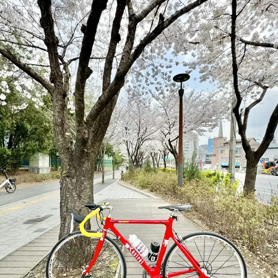 캐스트렐 로드 105  카본프레임