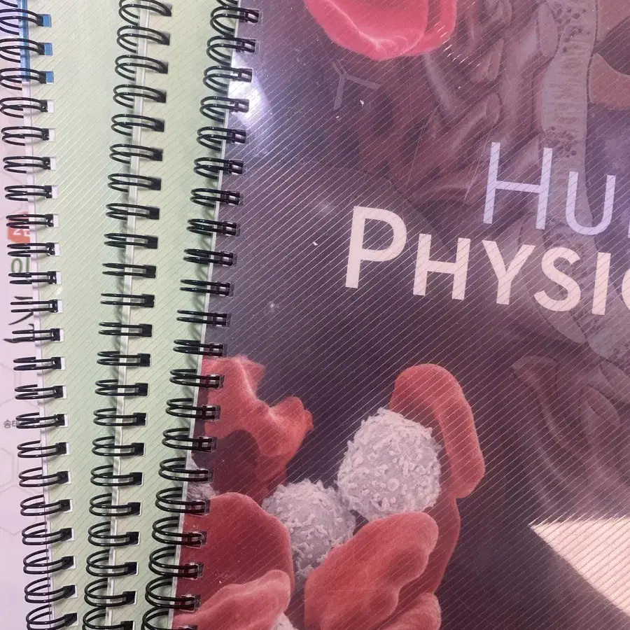 Human physiology 15판 Stuart IraFox 인체생리학