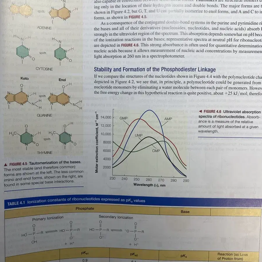 Biochemistry2판 global edition 생화학