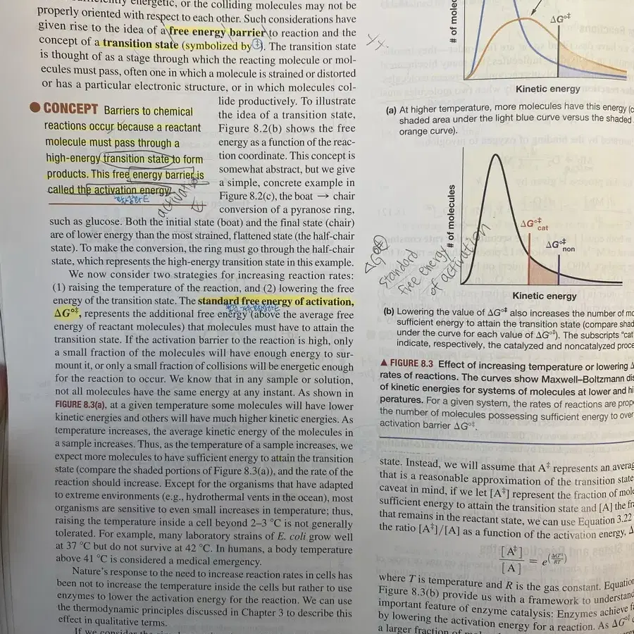 Biochemistry2판 global edition 생화학