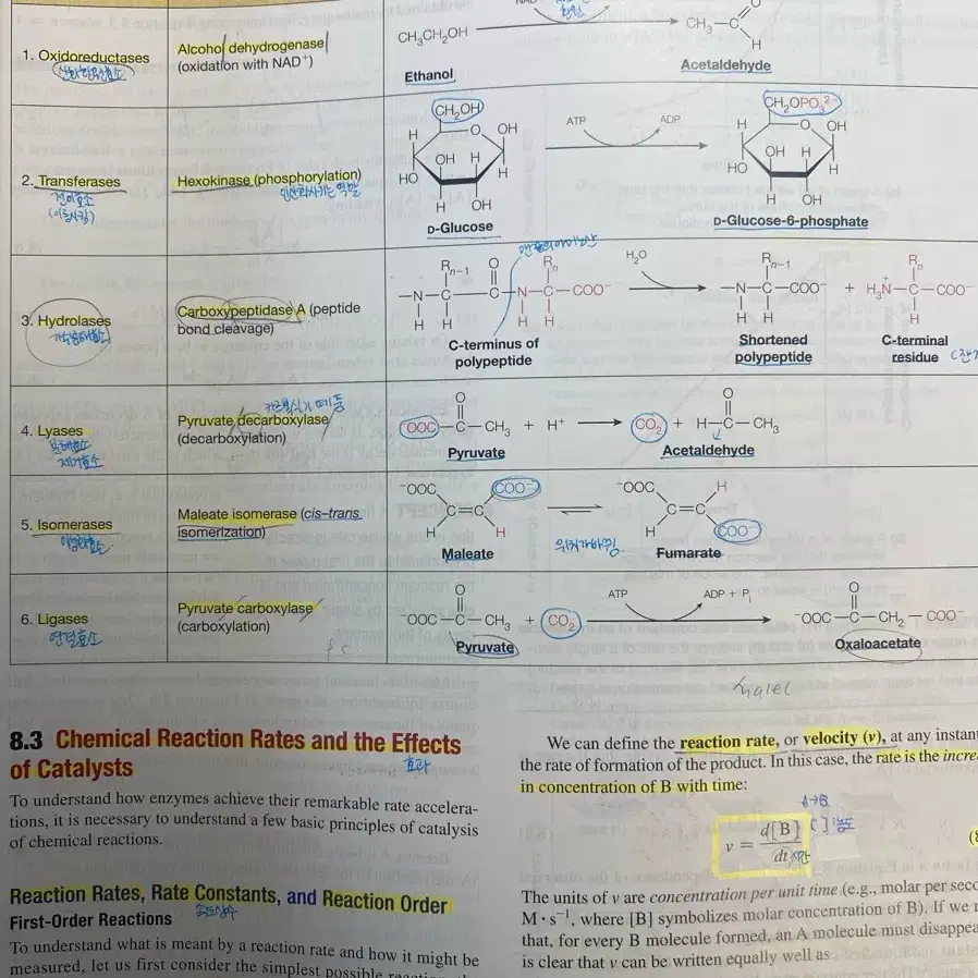 Biochemistry2판 global edition 생화학