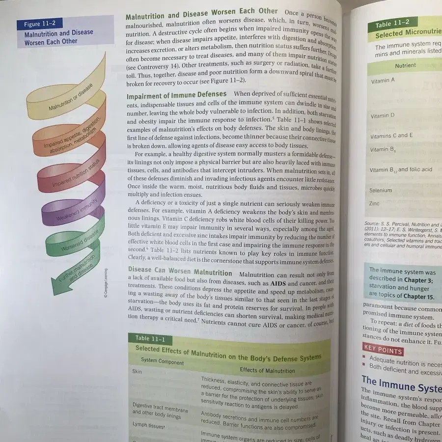 Nutrition sizer whitney 영양학 13판