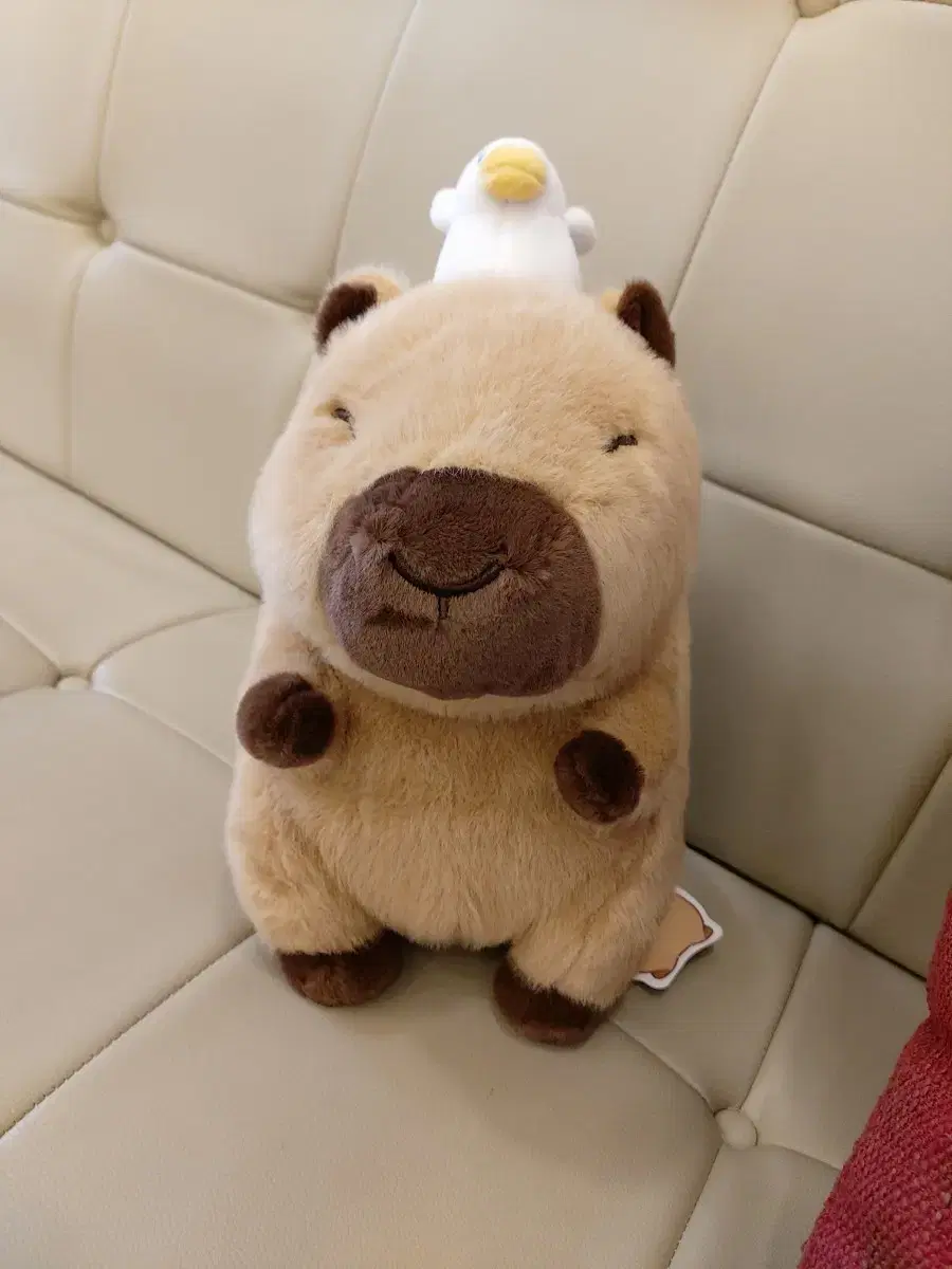 오리 카피바라짱 카피바라 봉제인형 25cm